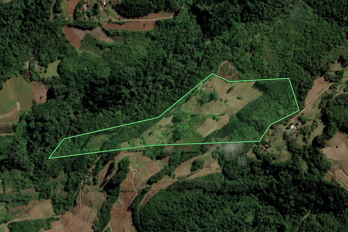 Imagem de satélite do imóvel rural em Venâncio Aires (RS), com o contorno declarado no CAR desenhado por cima.