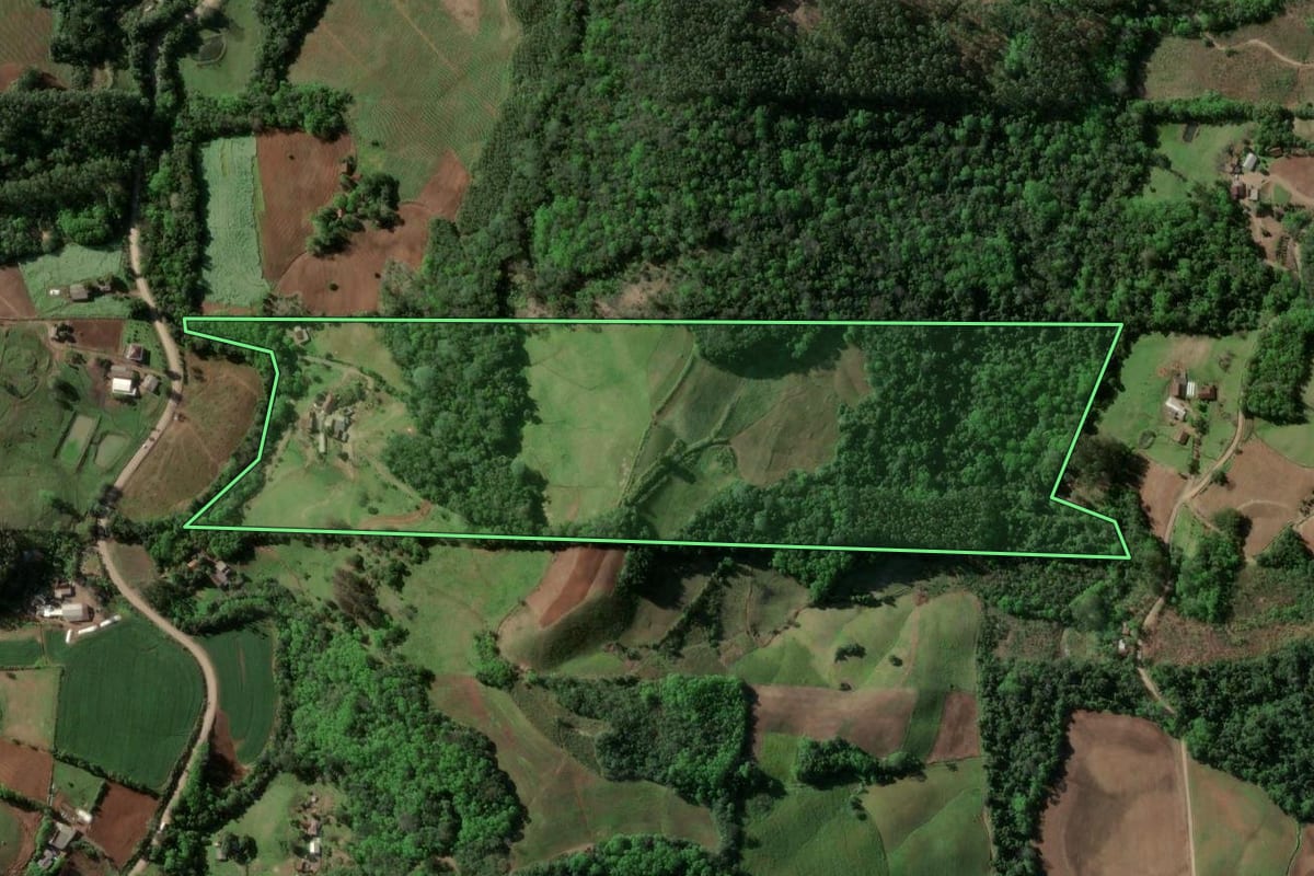 Imagem de satélite do imóvel rural em Venâncio Aires (RS), com o contorno declarado no CAR desenhado por cima.