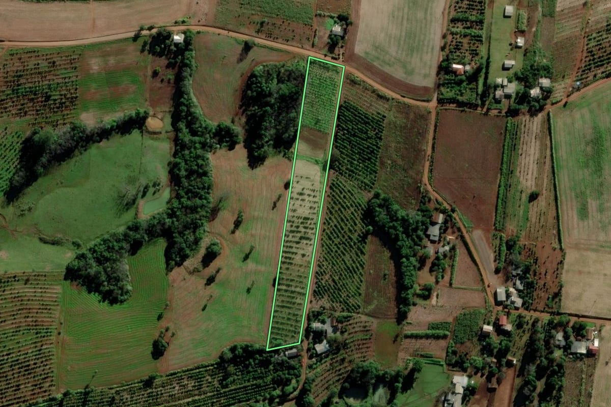 Imagem de satélite do imóvel rural em Venâncio Aires (RS), com o contorno declarado no CAR desenhado por cima.