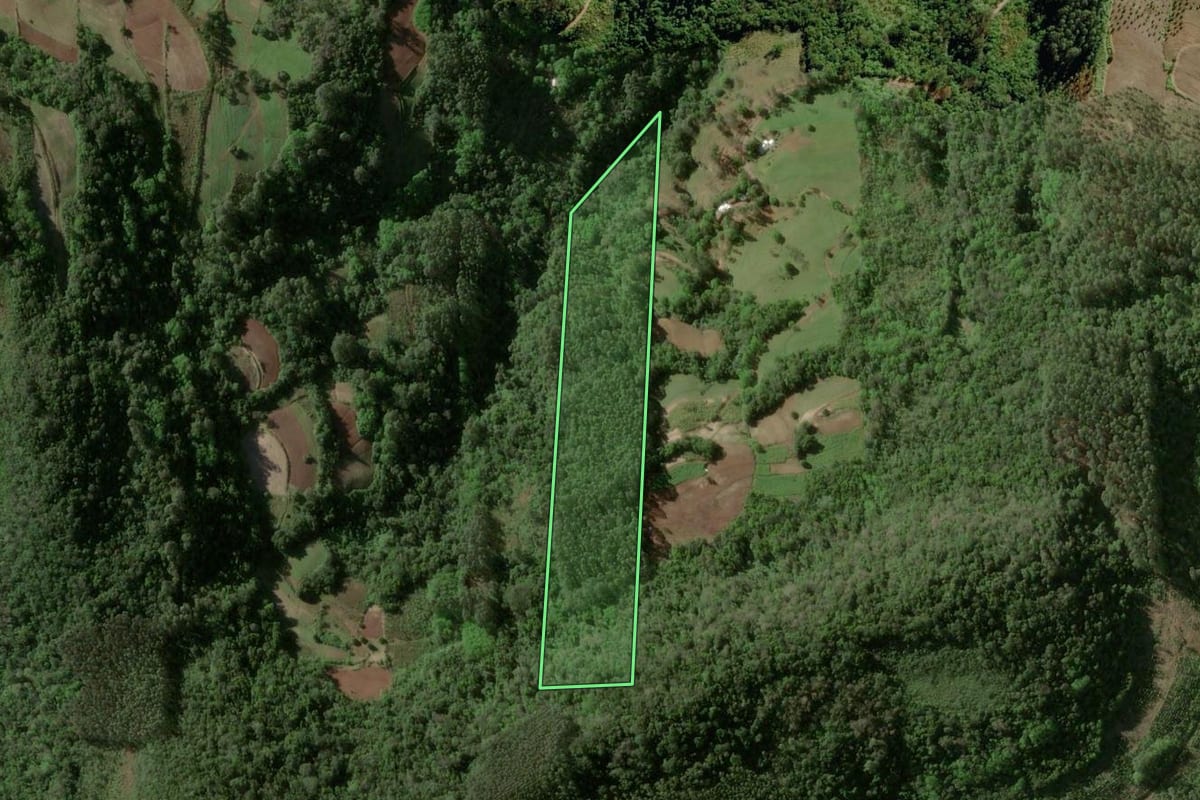 Imagem de satélite do imóvel rural em Venâncio Aires (RS), com o contorno declarado no CAR desenhado por cima.