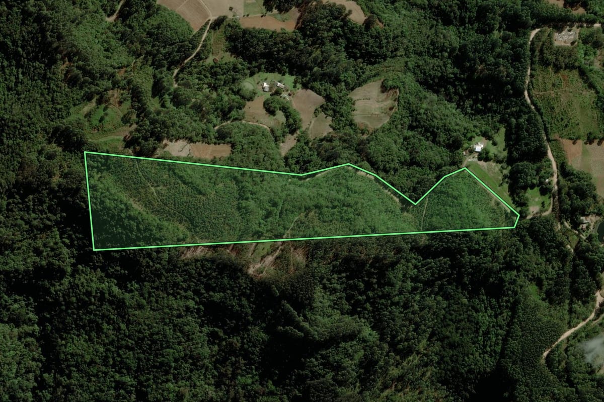 Imagem de satélite do imóvel rural em Venâncio Aires (RS), com o contorno declarado no CAR desenhado por cima.