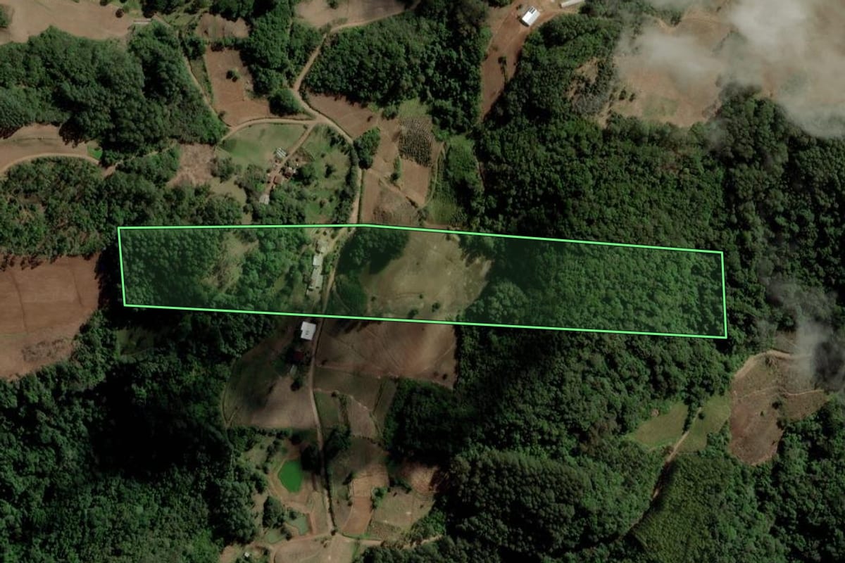 Imagem de satélite do imóvel rural em Venâncio Aires (RS), com o contorno declarado no CAR desenhado por cima.