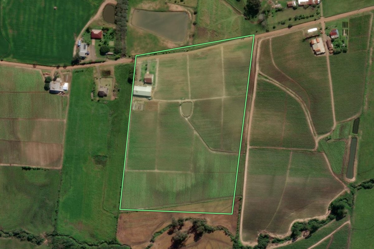 Imagem de satélite do imóvel rural em Venâncio Aires (RS), com o contorno declarado no CAR desenhado por cima.