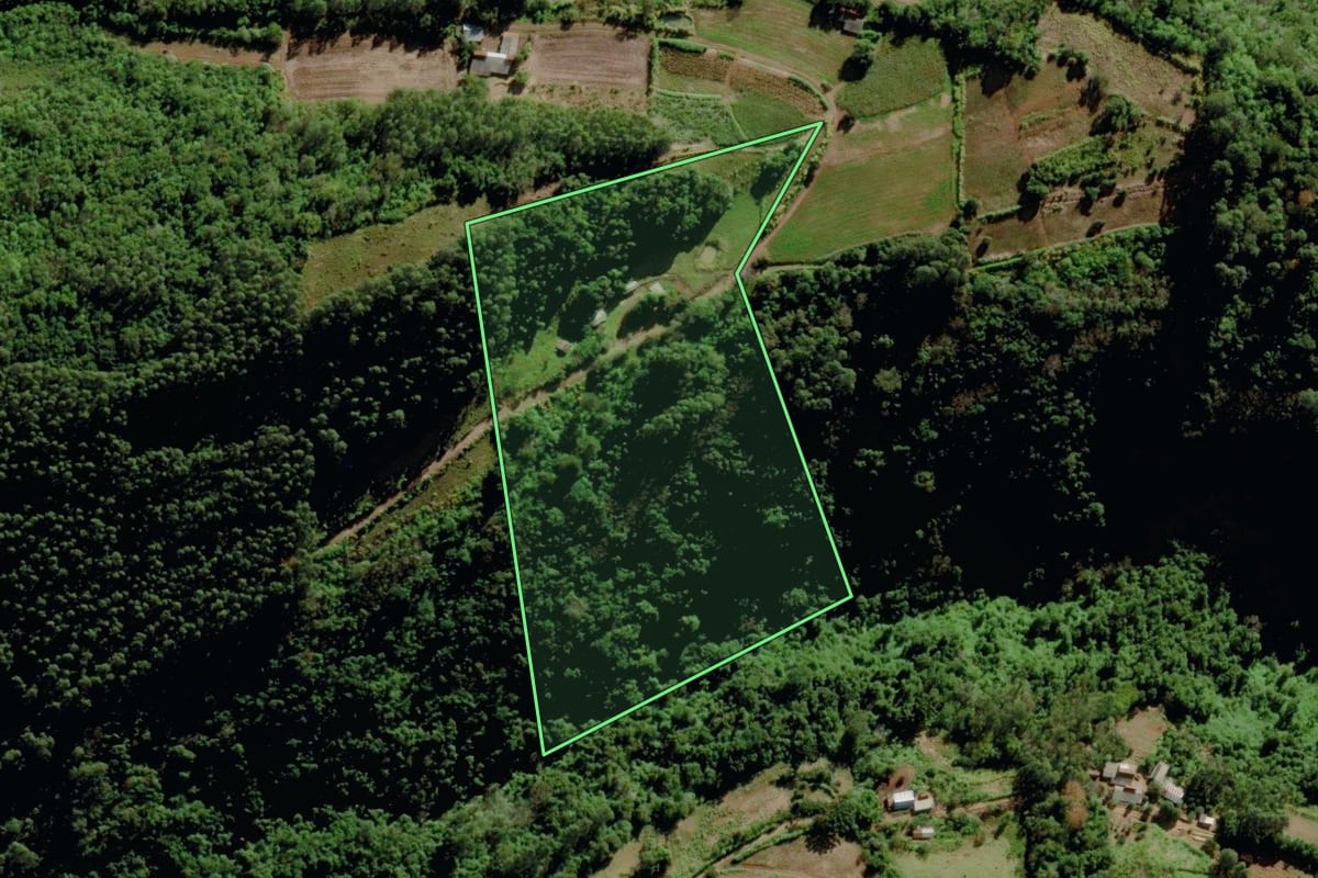 Imagem de satélite do imóvel rural em Venâncio Aires (RS), com o contorno declarado no CAR desenhado por cima.