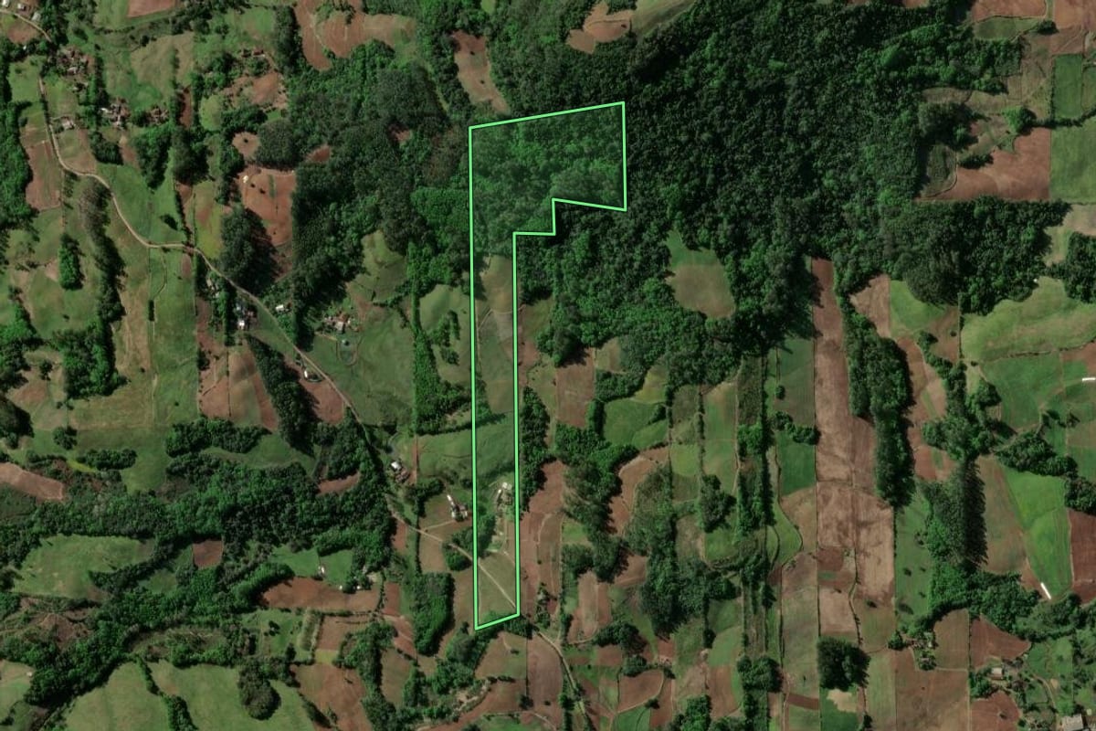 Imagem de satélite do imóvel rural em Venâncio Aires (RS), com o contorno declarado no CAR desenhado por cima.