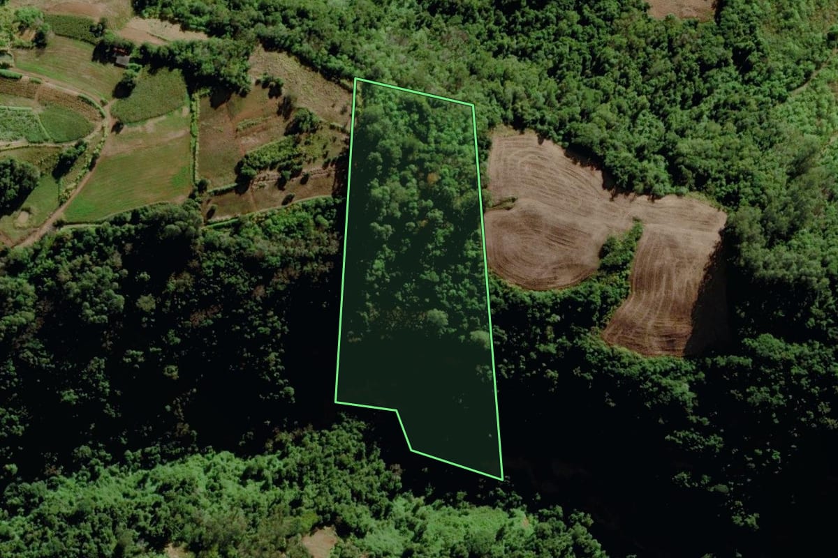 Imagem de satélite do imóvel rural em Venâncio Aires (RS), com o contorno declarado no CAR desenhado por cima.