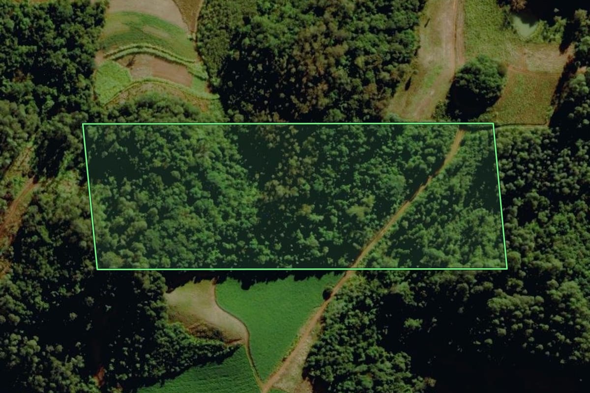 Imagem de satélite do imóvel rural em Venâncio Aires (RS), com o contorno declarado no CAR desenhado por cima.