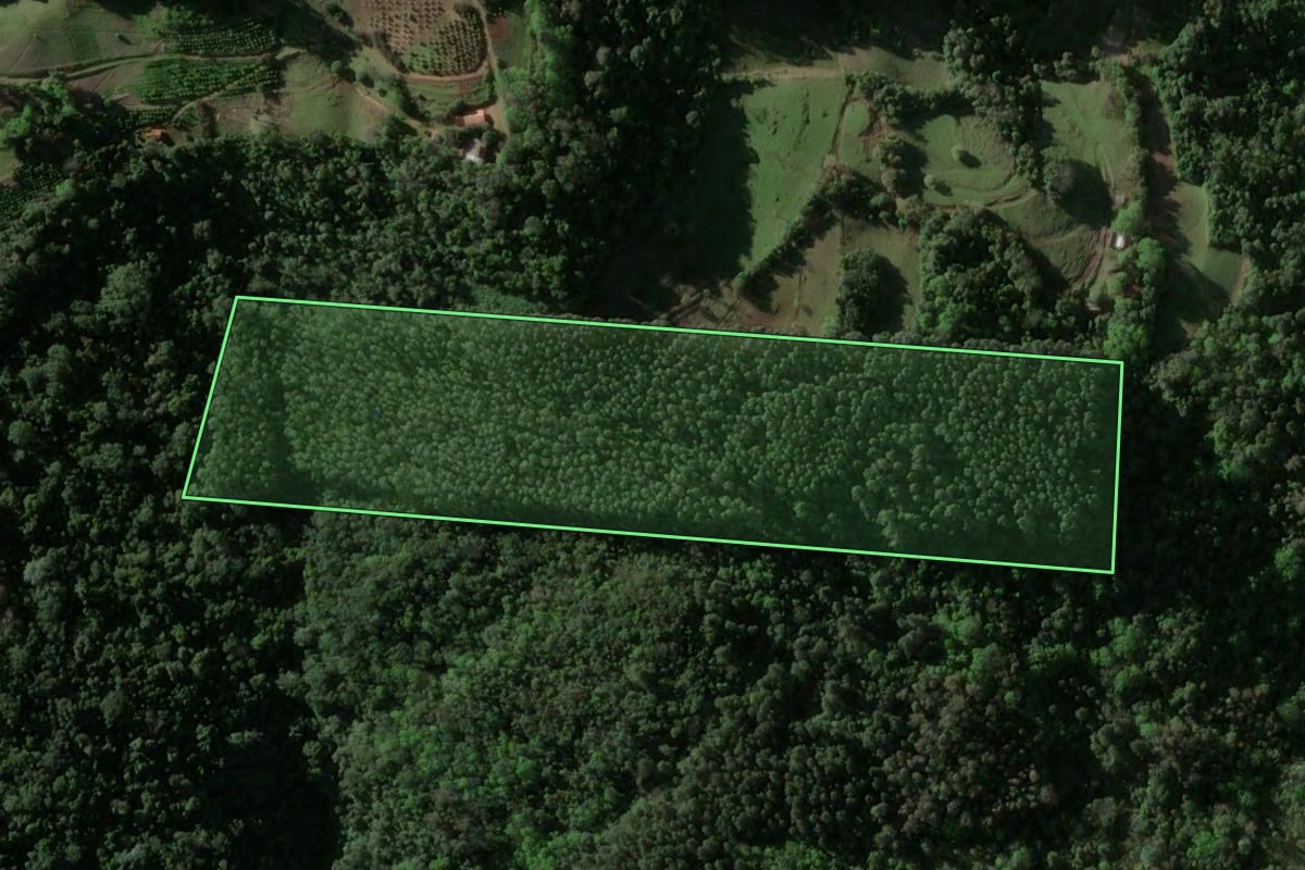Imagem de satélite do imóvel rural em Venâncio Aires (RS), com o contorno declarado no CAR desenhado por cima.