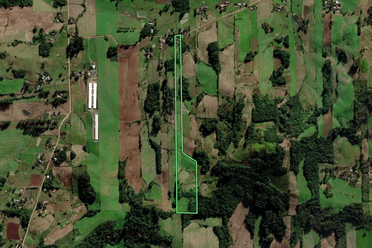 Imagem de satélite do imóvel rural em Venâncio Aires (RS), com o contorno declarado no CAR desenhado por cima.
