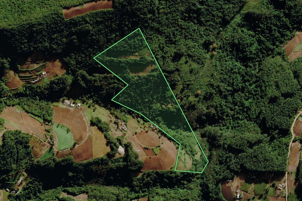 Imagem de satélite do imóvel rural em Venâncio Aires (RS), com o contorno declarado no CAR desenhado por cima.