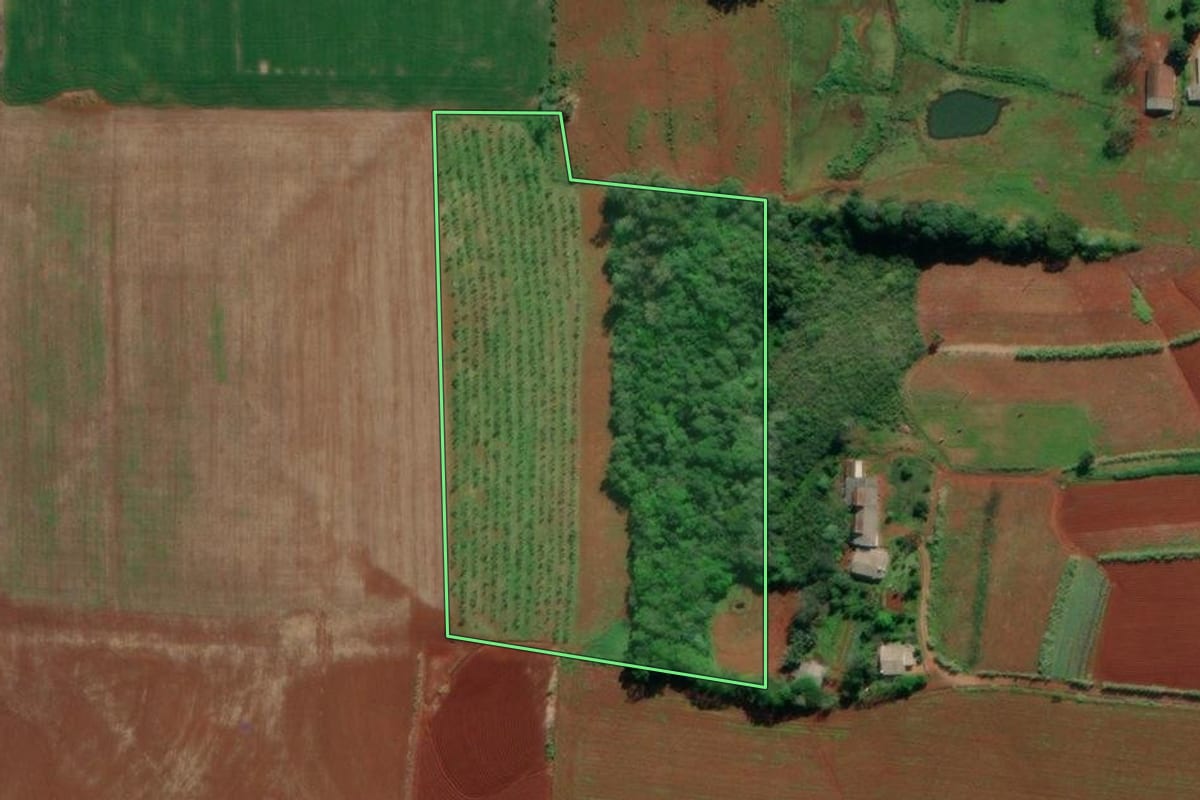 Imagem de satélite do imóvel rural em Venâncio Aires (RS), com o contorno declarado no CAR desenhado por cima.