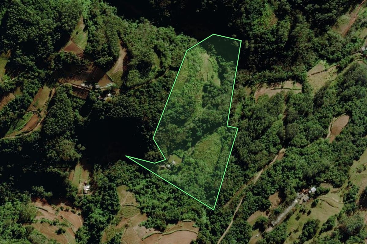Imagem de satélite do imóvel rural em Venâncio Aires (RS), com o contorno declarado no CAR desenhado por cima.