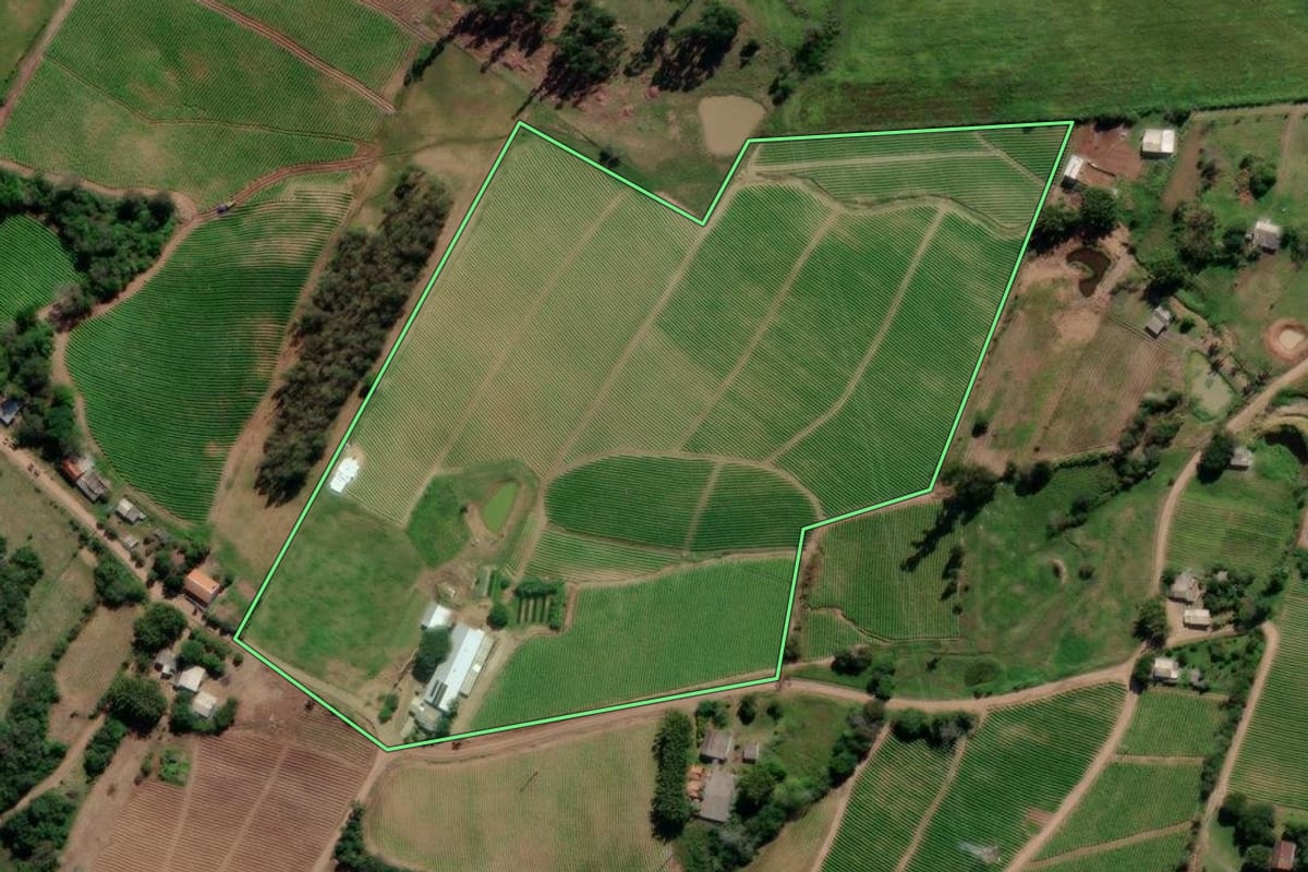 Imagem de satélite do imóvel rural em Venâncio Aires (RS), com o contorno declarado no CAR desenhado por cima.