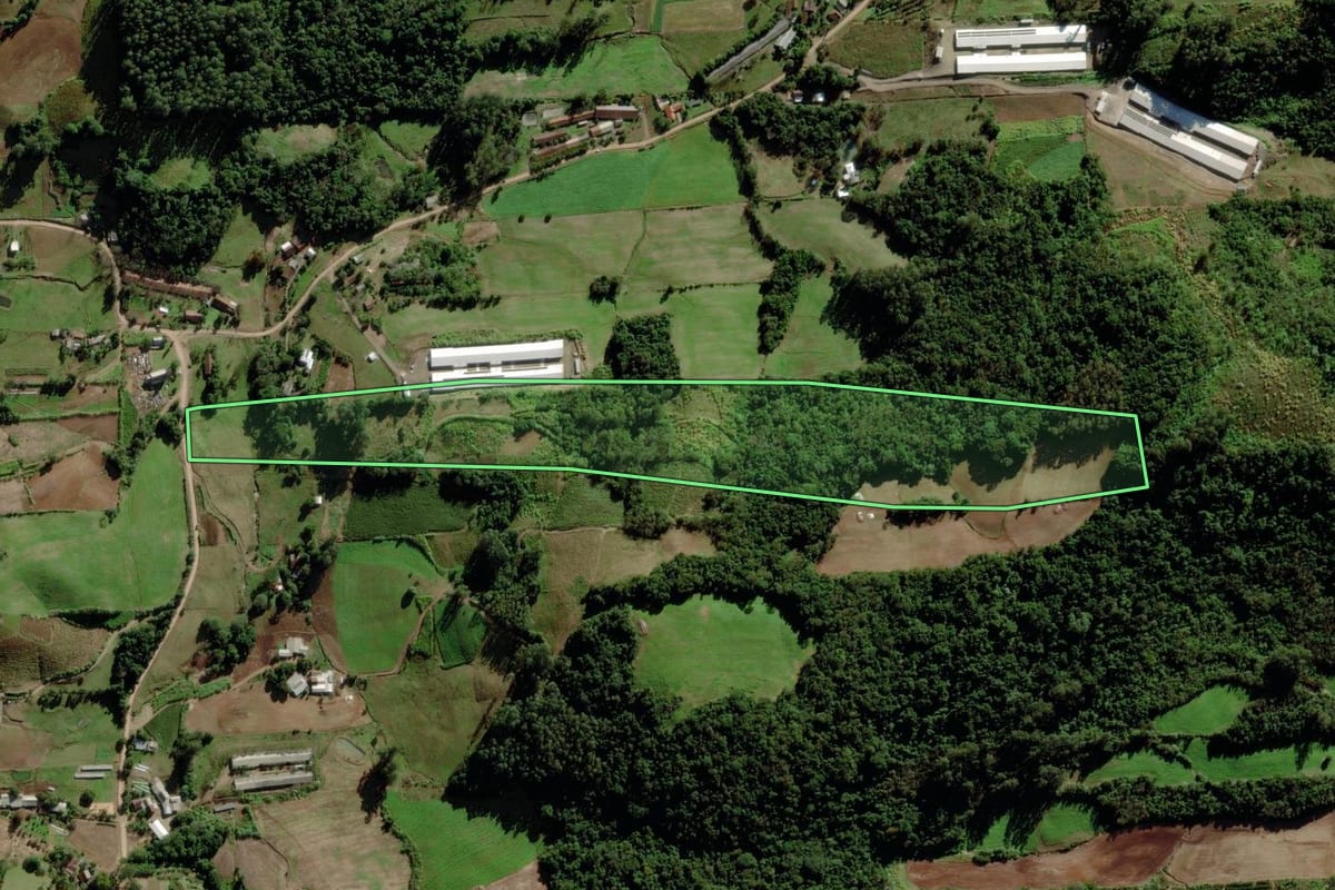 Imagem de satélite do imóvel rural em Venâncio Aires (RS), com o contorno declarado no CAR desenhado por cima.