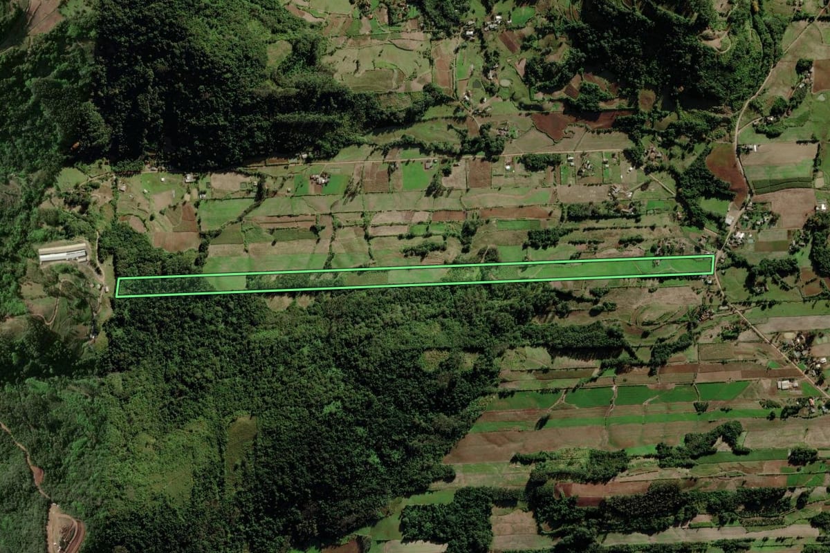 Imagem de satélite do imóvel rural em Venâncio Aires (RS), com o contorno declarado no CAR desenhado por cima.