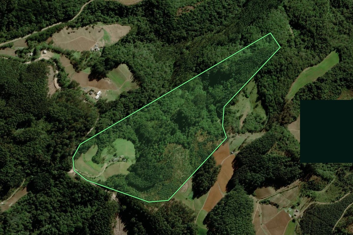 Imagem de satélite do imóvel rural em Venâncio Aires (RS), com o contorno declarado no CAR desenhado por cima.
