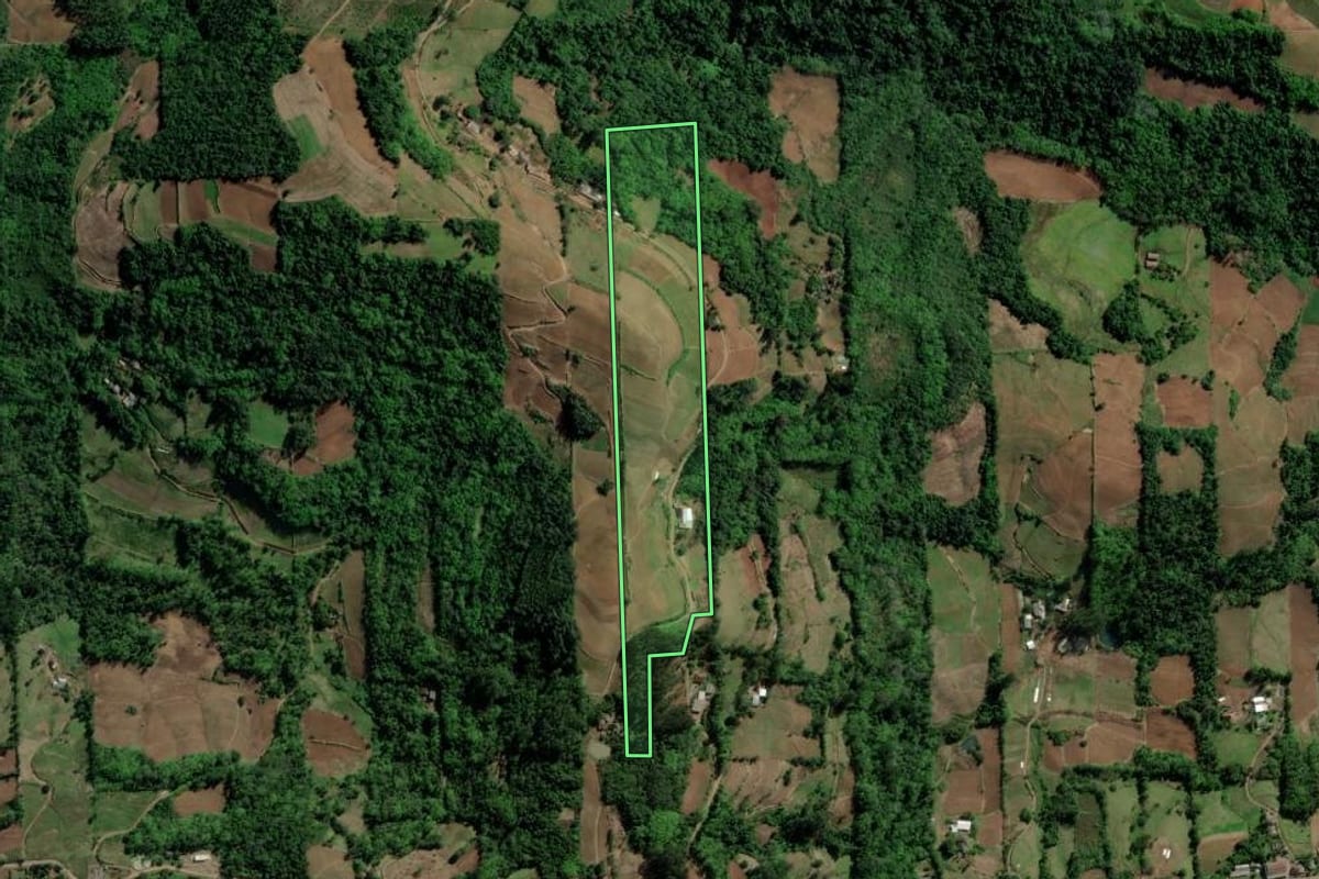 Imagem de satélite do imóvel rural em Venâncio Aires (RS), com o contorno declarado no CAR desenhado por cima.