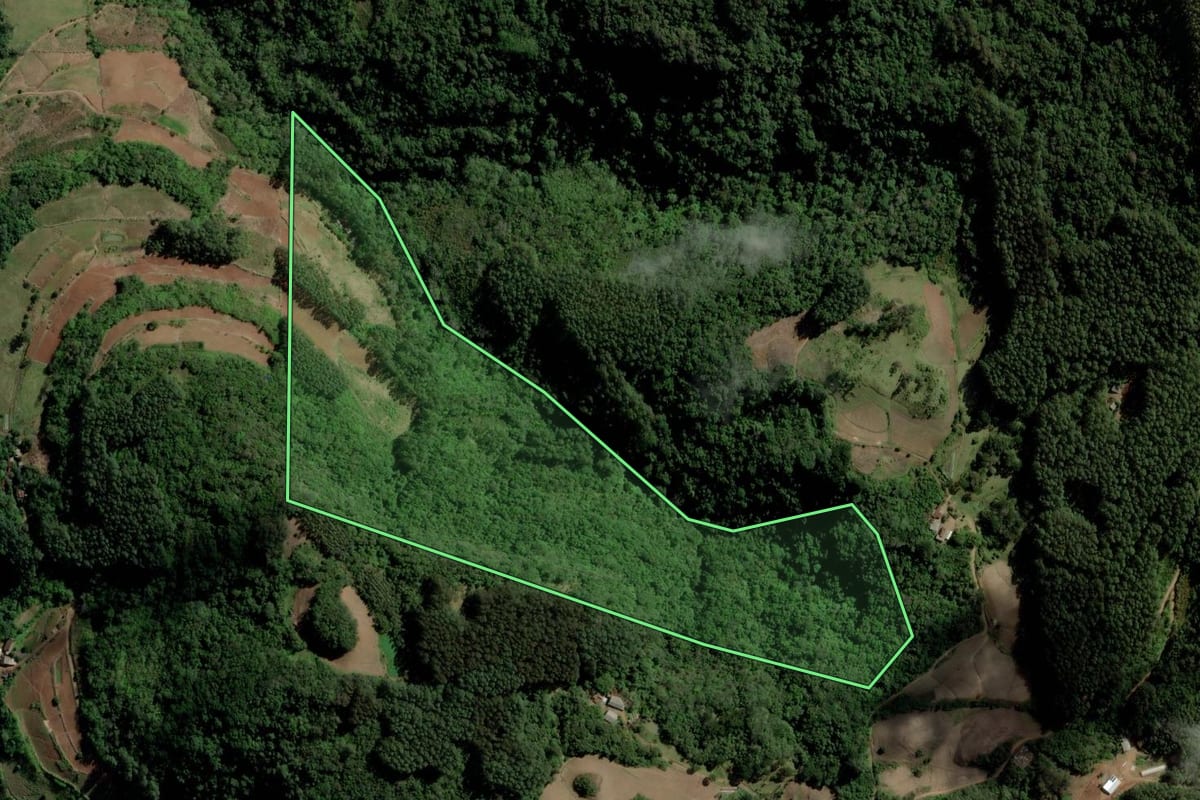 Imagem de satélite do imóvel rural em Venâncio Aires (RS), com o contorno declarado no CAR desenhado por cima.
