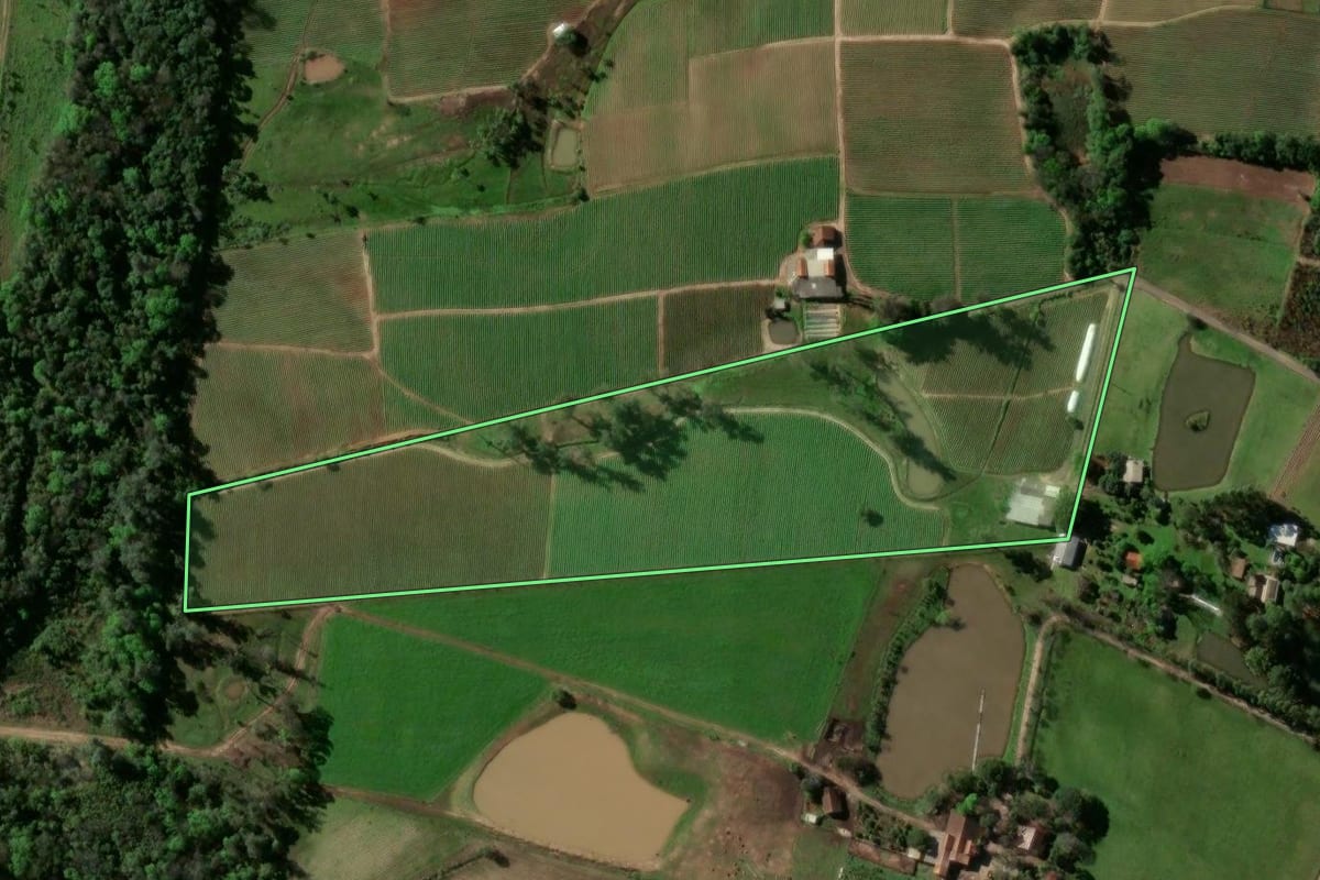 Imagem de satélite do imóvel rural em Venâncio Aires (RS), com o contorno declarado no CAR desenhado por cima.