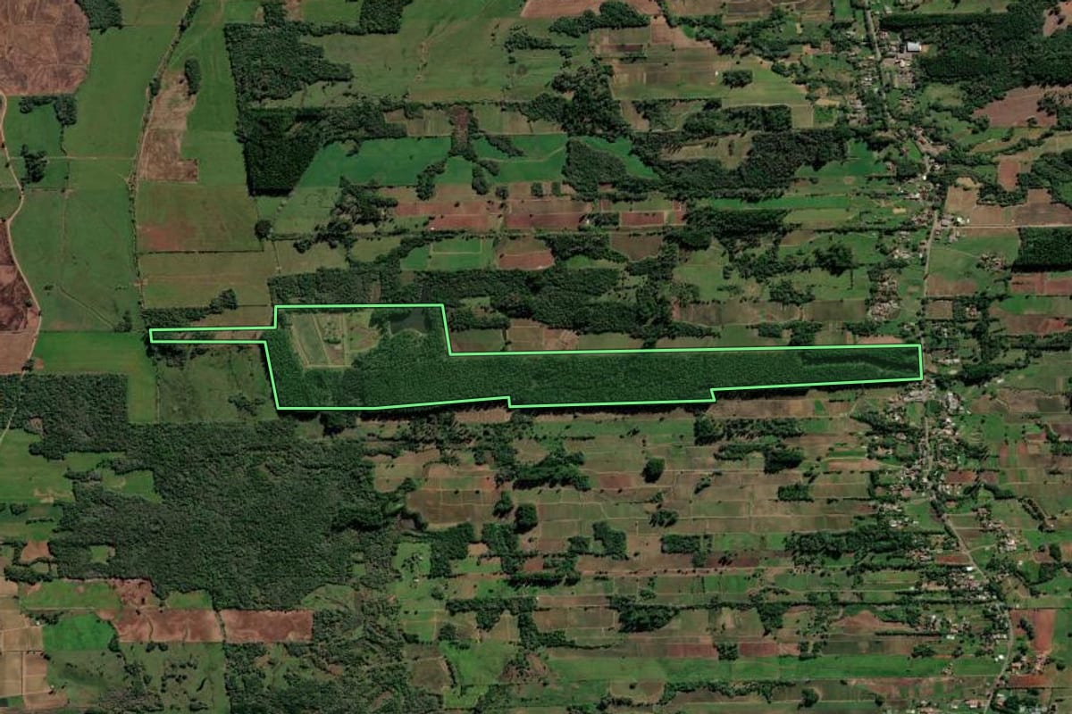 Imagem de satélite do imóvel rural em Vera Cruz (RS), com o contorno declarado no CAR desenhado por cima.