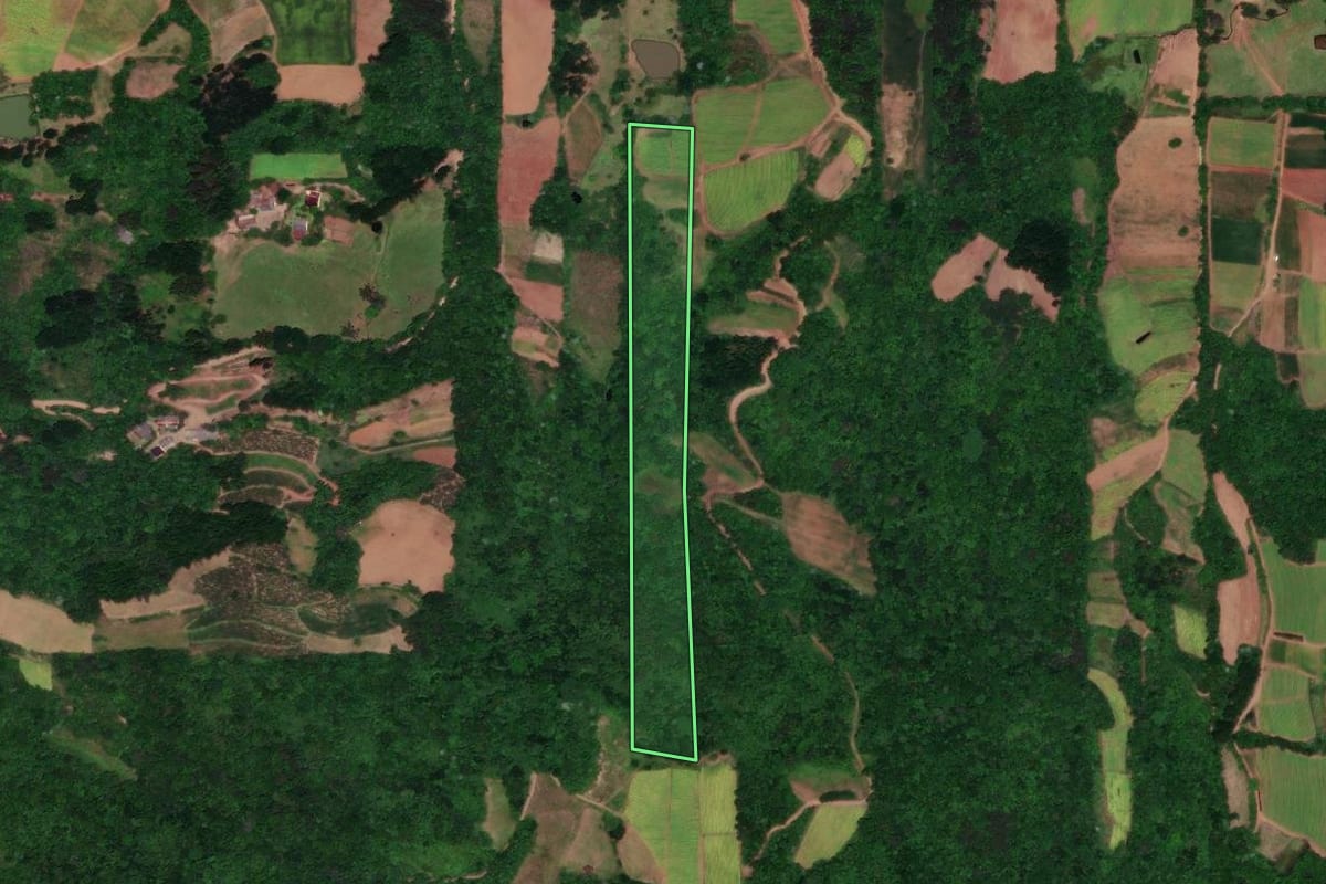 Imagem de satélite do imóvel rural em Vera Cruz (RS), com o contorno declarado no CAR desenhado por cima.