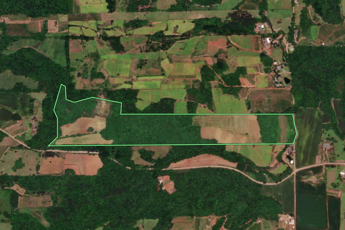 Imagem de satélite do imóvel rural em Vera Cruz (RS), com o contorno declarado no CAR desenhado por cima.