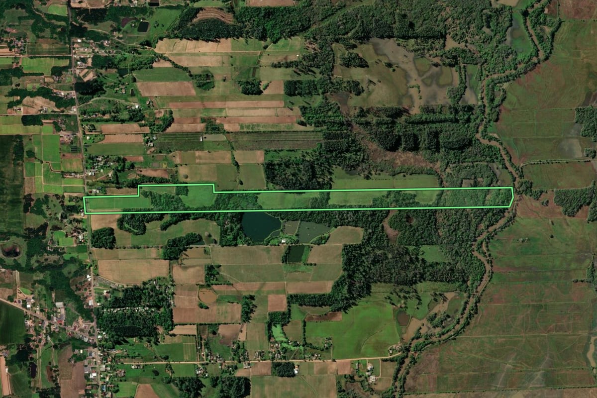 Imagem de satélite do imóvel rural em Vera Cruz (RS), com o contorno declarado no CAR desenhado por cima.