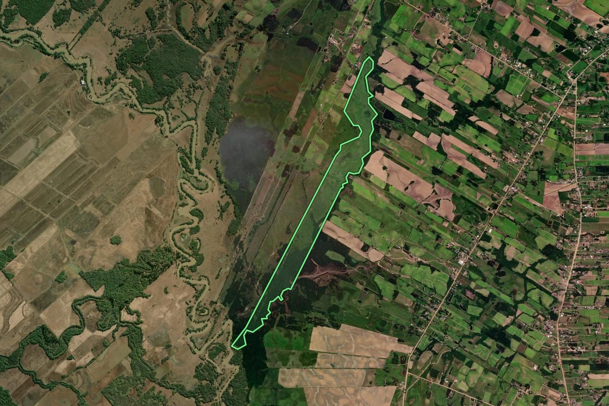 Imagem de satélite do imóvel rural em Vera Cruz (RS), com o contorno declarado no CAR desenhado por cima.