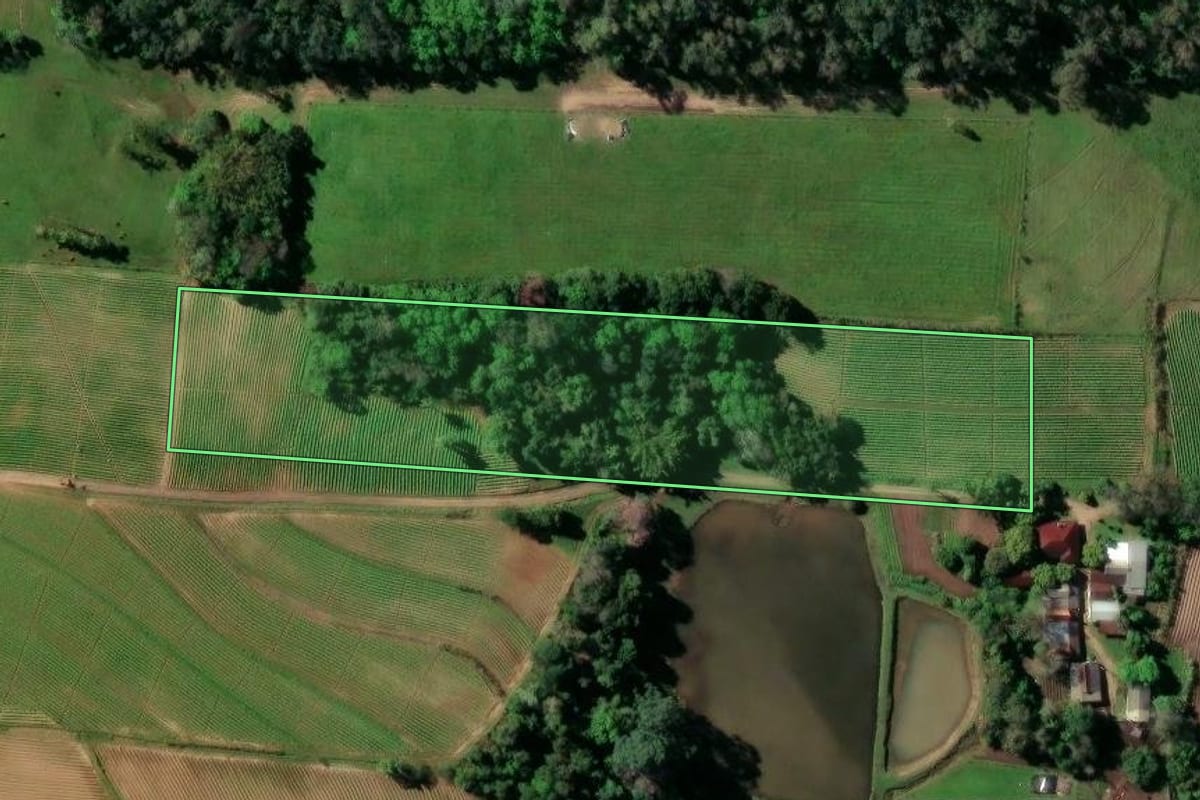 Imagem de satélite do imóvel rural em Vera Cruz (RS), com o contorno declarado no CAR desenhado por cima.