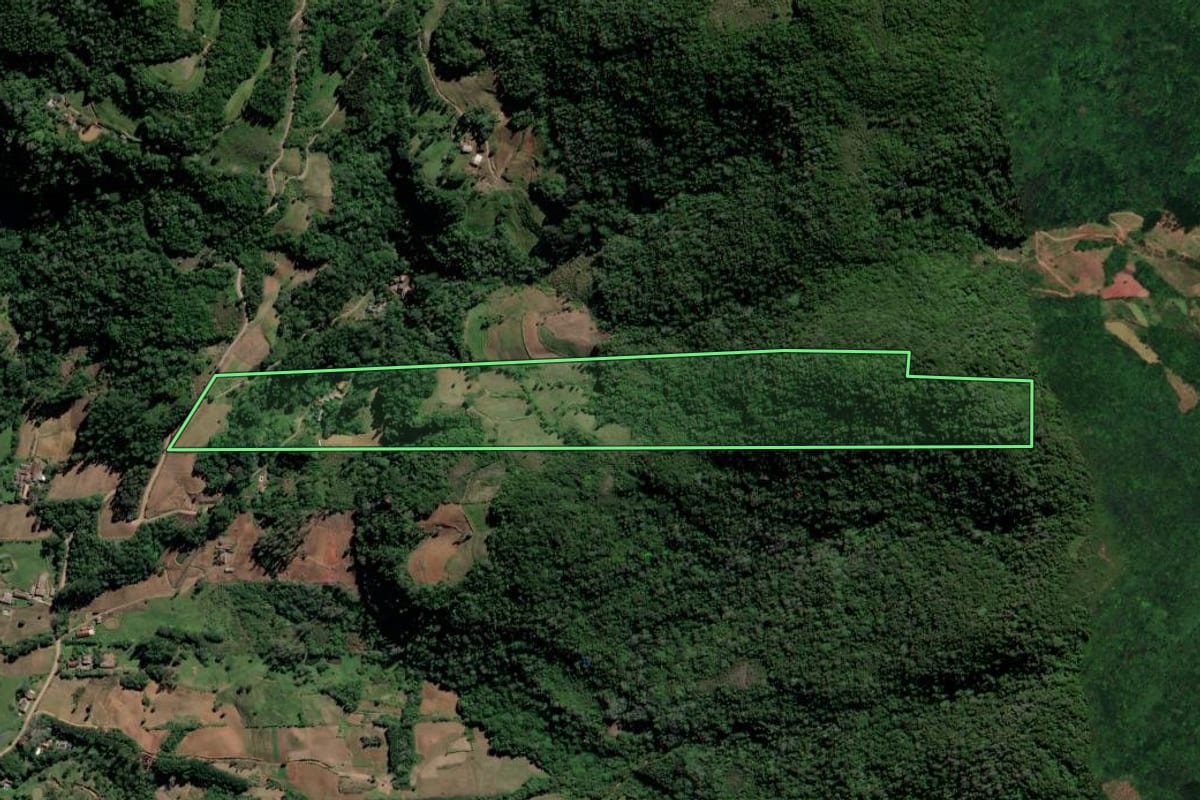 Imagem de satélite do imóvel rural em Vera Cruz (RS), com o contorno declarado no CAR desenhado por cima.