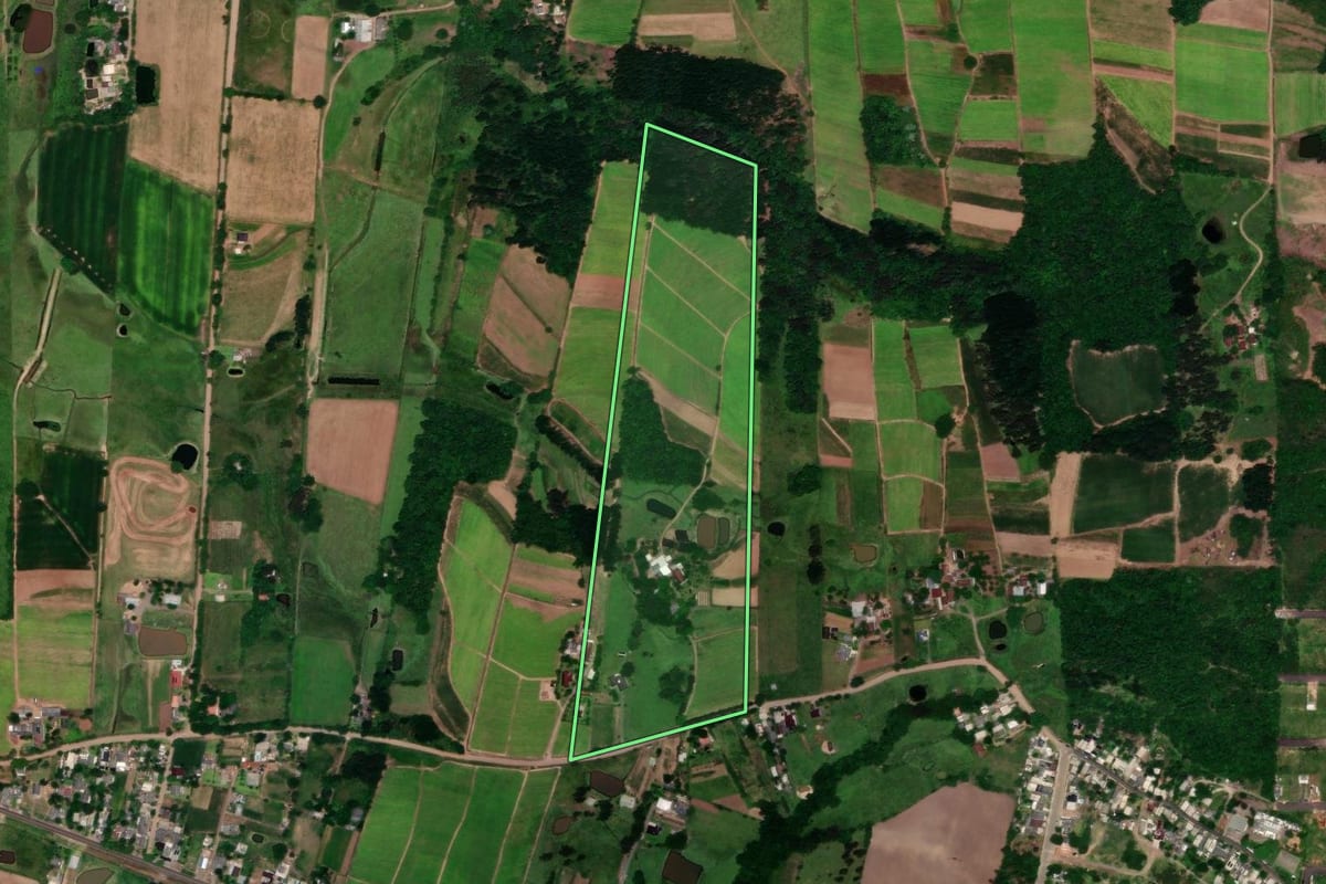 Imagem de satélite do imóvel rural em Vera Cruz (RS), com o contorno declarado no CAR desenhado por cima.