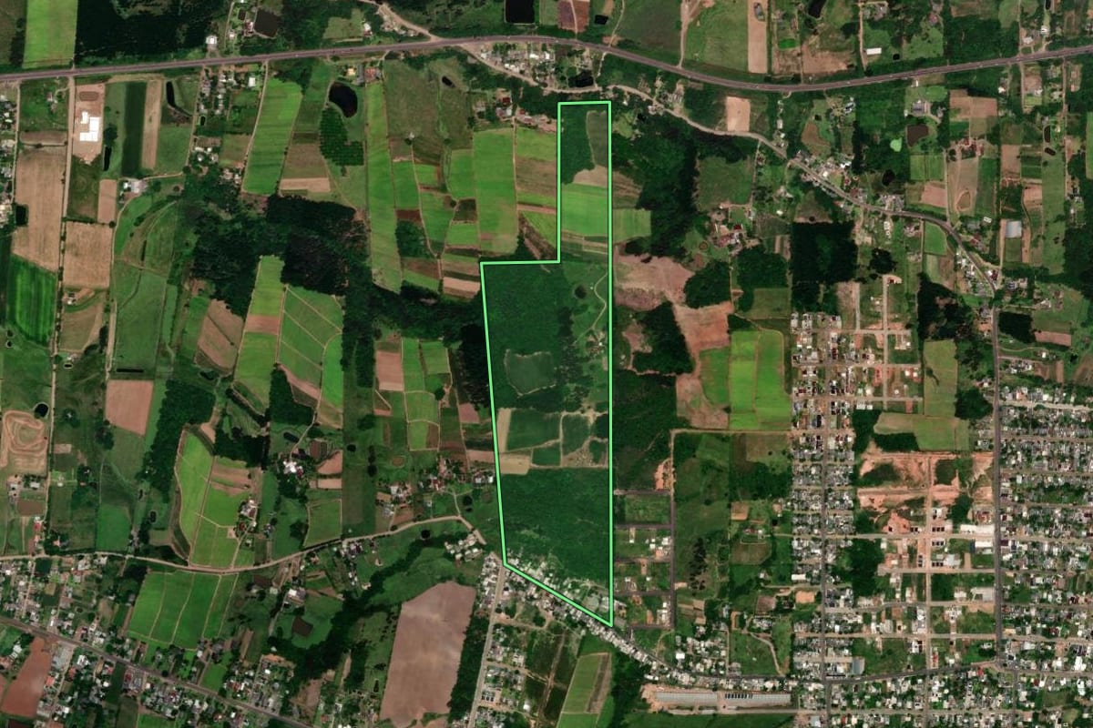 Imagem de satélite do imóvel rural em Vera Cruz (RS), com o contorno declarado no CAR desenhado por cima.