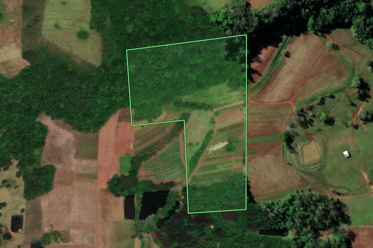 Imagem de satélite do imóvel rural em Vera Cruz (RS), com o contorno declarado no CAR desenhado por cima.