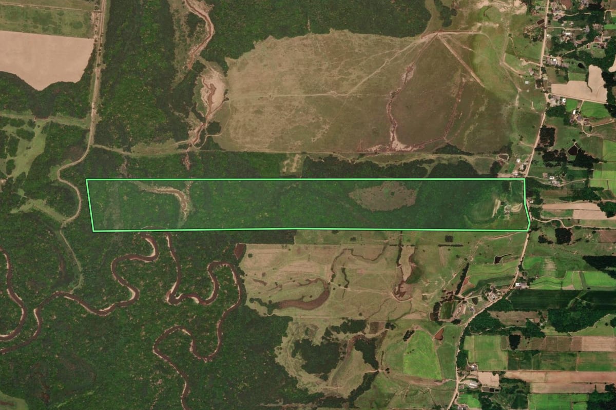 Imagem de satélite do imóvel rural em Vera Cruz (RS), com o contorno declarado no CAR desenhado por cima.