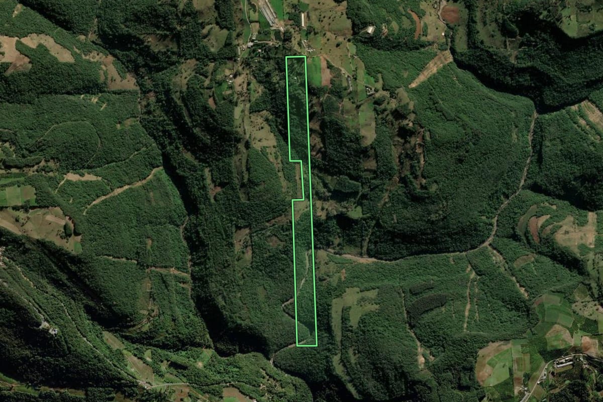 Imagem de satélite do imóvel rural em Veranópolis (RS), com o contorno declarado no CAR desenhado por cima.