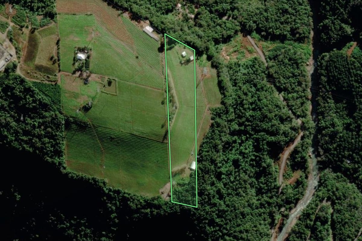 Imagem de satélite do imóvel rural em Veranópolis (RS), com o contorno declarado no CAR desenhado por cima.
