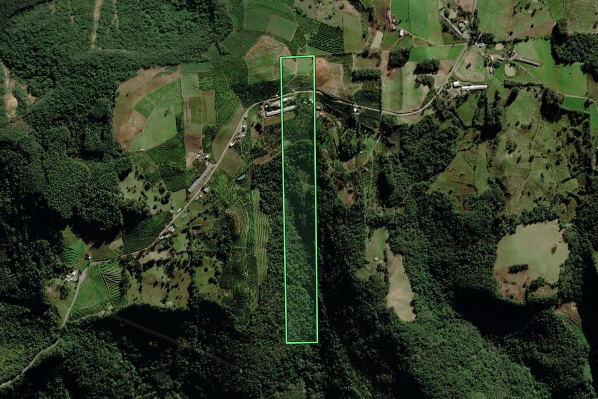 Imagem de satélite do imóvel rural em Veranópolis (RS), com o contorno declarado no CAR desenhado por cima.