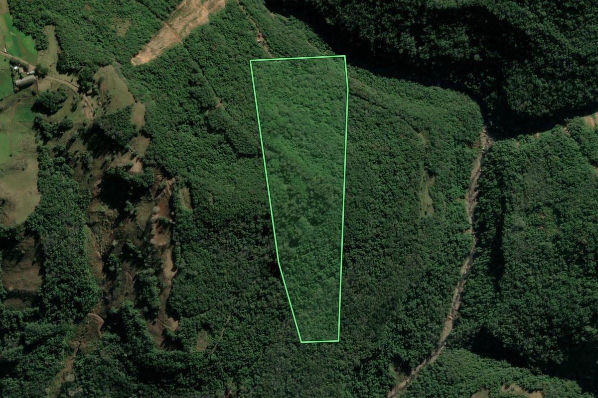 Imagem de satélite do imóvel rural em Veranópolis (RS), com o contorno declarado no CAR desenhado por cima.