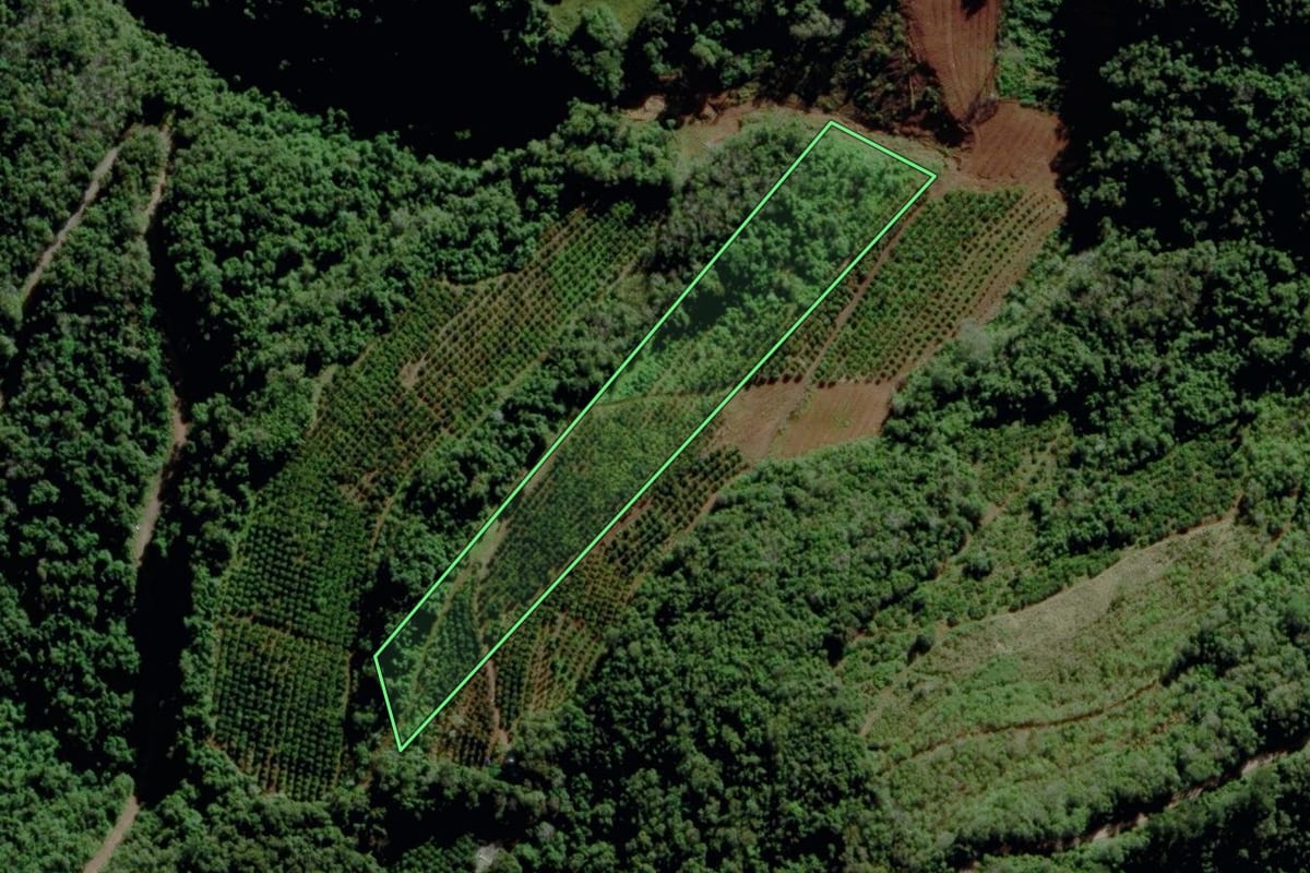 Imagem de satélite do imóvel rural em Veranópolis (RS), com o contorno declarado no CAR desenhado por cima.