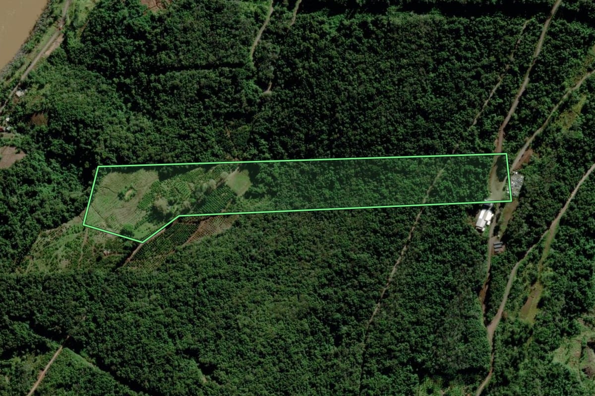 Imagem de satélite do imóvel rural em Veranópolis (RS), com o contorno declarado no CAR desenhado por cima.