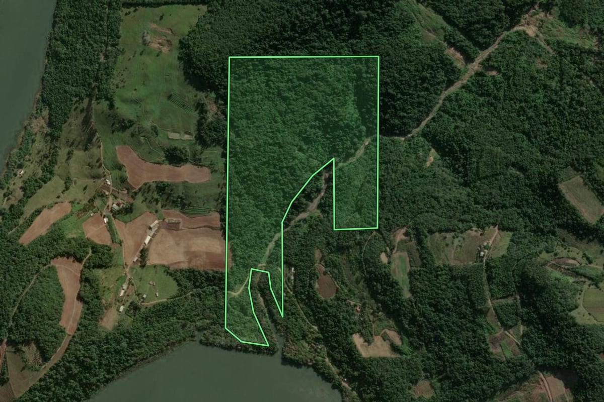 Imagem de satélite do imóvel rural em Veranópolis (RS), com o contorno declarado no CAR desenhado por cima.