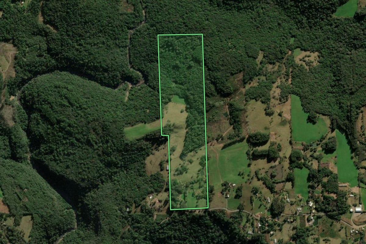 Imagem de satélite do imóvel rural em Veranópolis (RS), com o contorno declarado no CAR desenhado por cima.