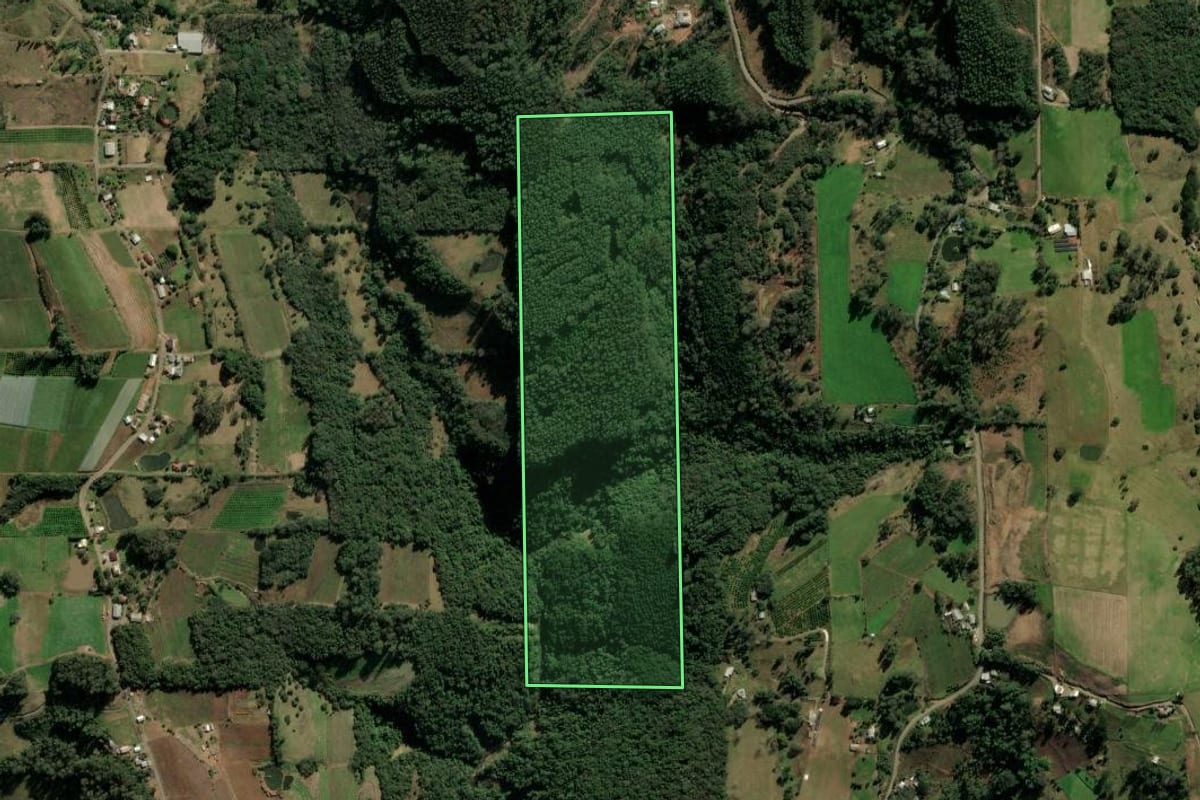 Imagem de satélite do imóvel rural em Veranópolis (RS), com o contorno declarado no CAR desenhado por cima.