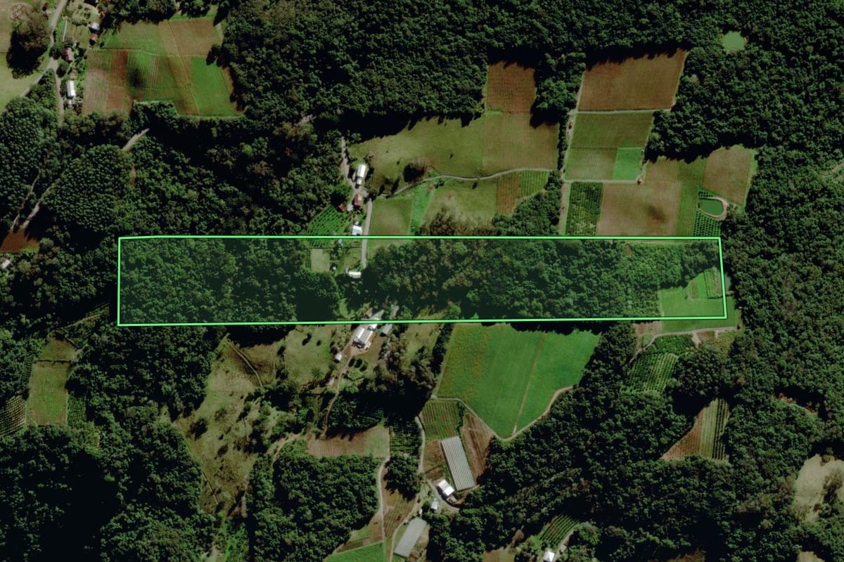 Imagem de satélite do imóvel rural em Veranópolis (RS), com o contorno declarado no CAR desenhado por cima.