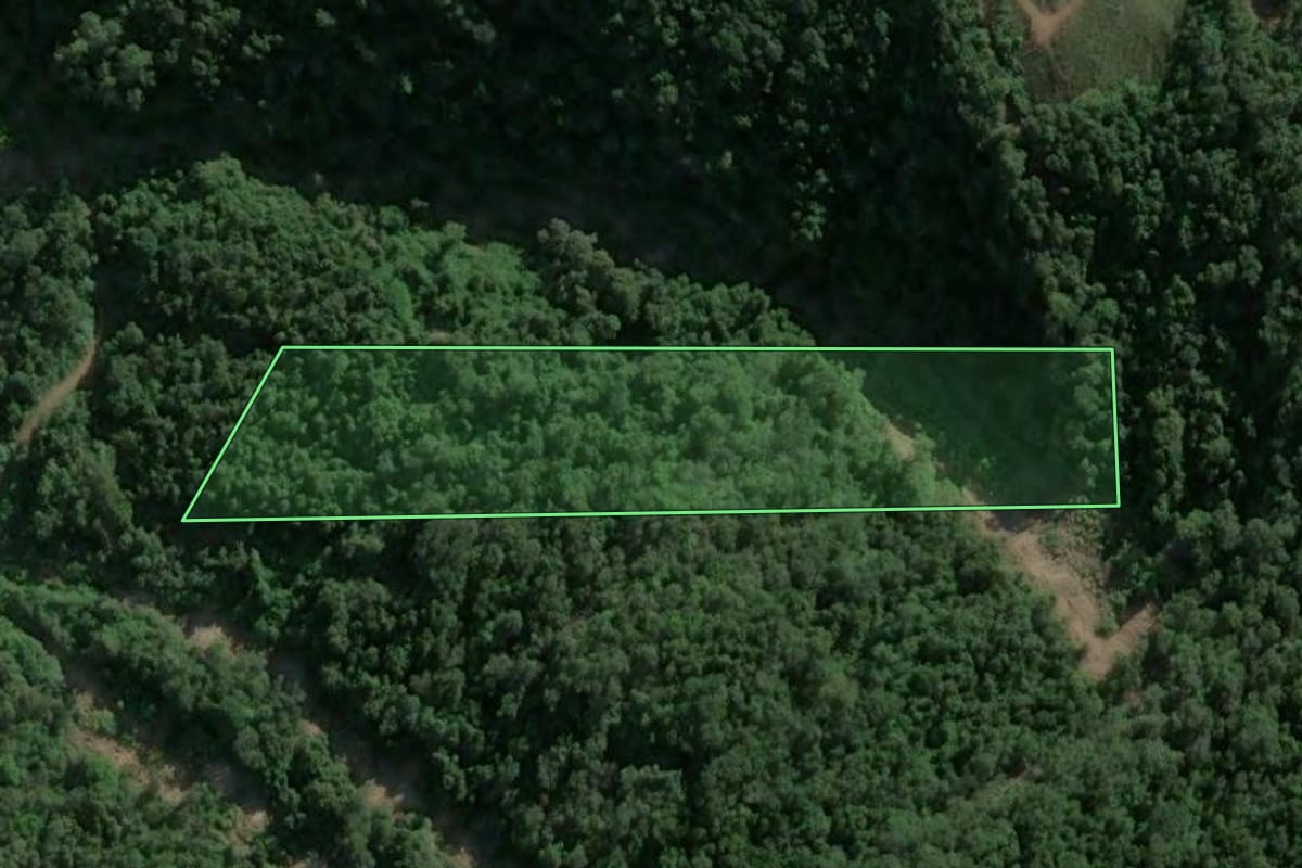 Imagem de satélite do imóvel rural em Veranópolis (RS), com o contorno declarado no CAR desenhado por cima.