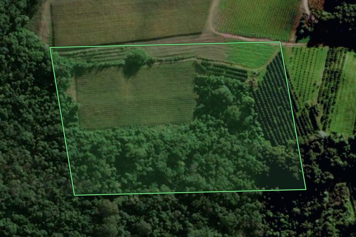 Imagem de satélite do imóvel rural em Veranópolis (RS), com o contorno declarado no CAR desenhado por cima.