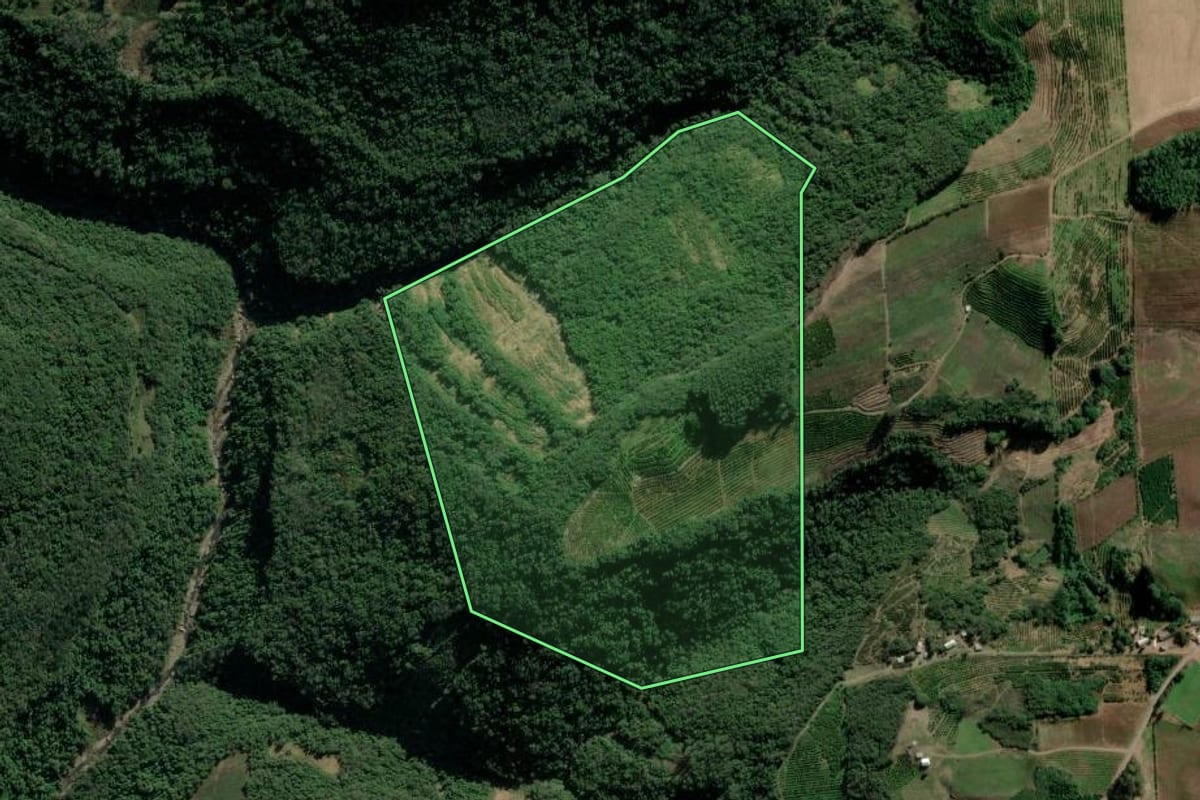 Imagem de satélite do imóvel rural em Veranópolis (RS), com o contorno declarado no CAR desenhado por cima.