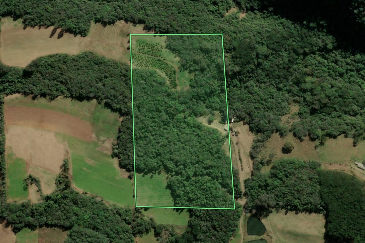 Imagem de satélite do imóvel rural em Veranópolis (RS), com o contorno declarado no CAR desenhado por cima.