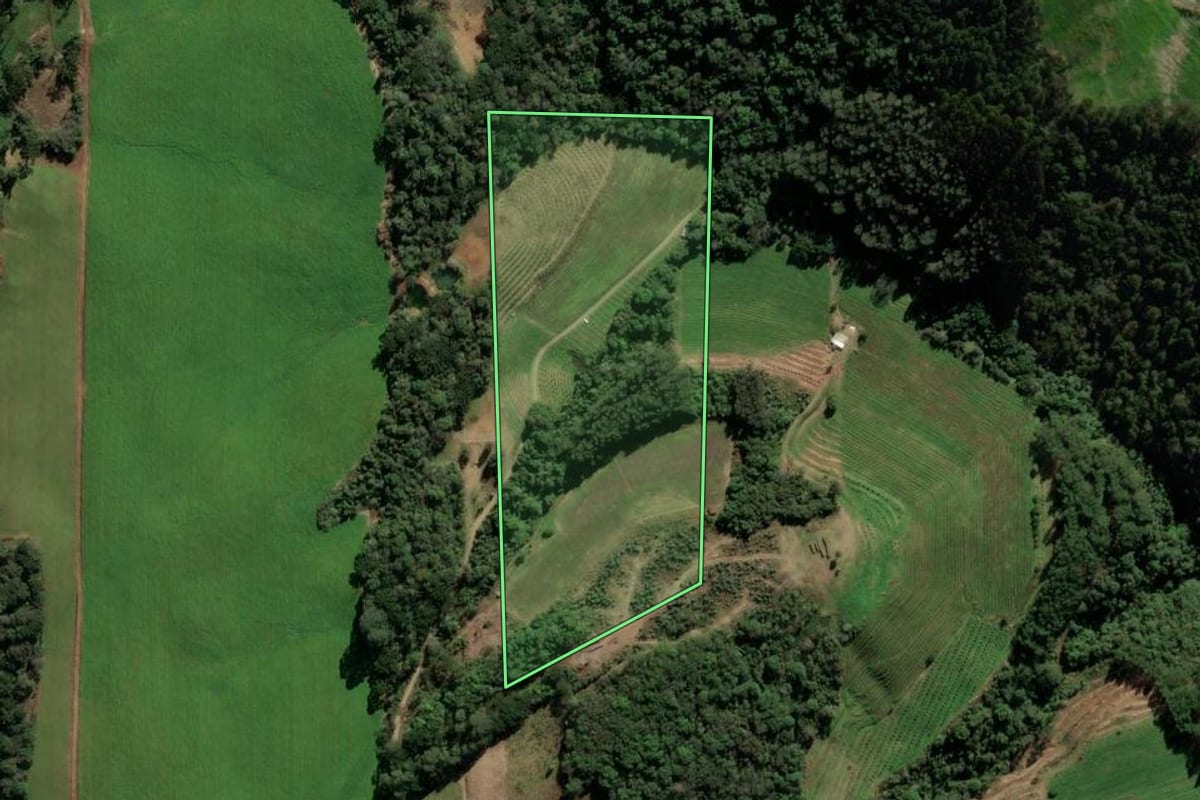 Imagem de satélite do imóvel rural em Veranópolis (RS), com o contorno declarado no CAR desenhado por cima.