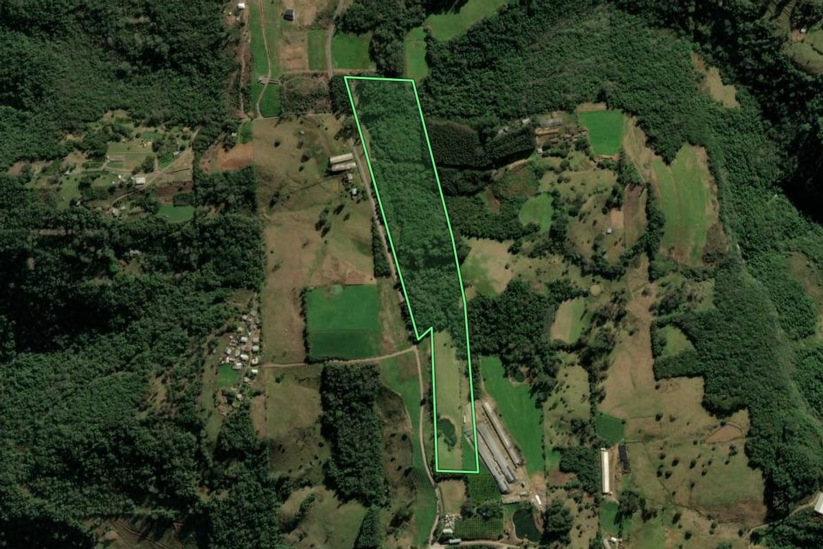 Imagem de satélite do imóvel rural em Veranópolis (RS), com o contorno declarado no CAR desenhado por cima.